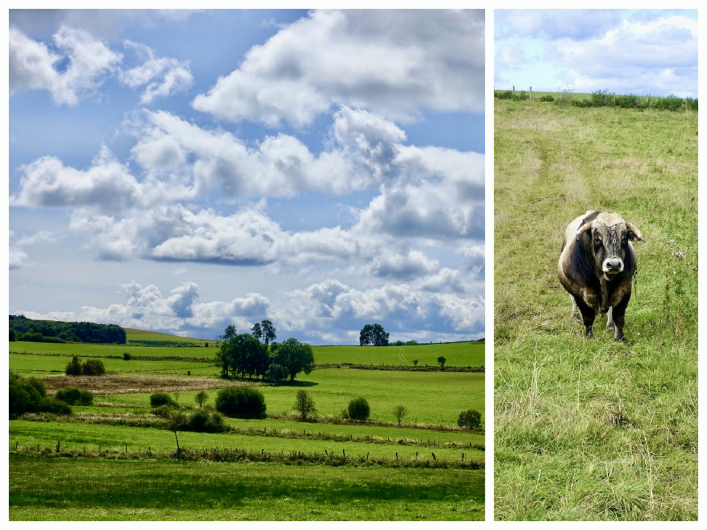 Cantal/France